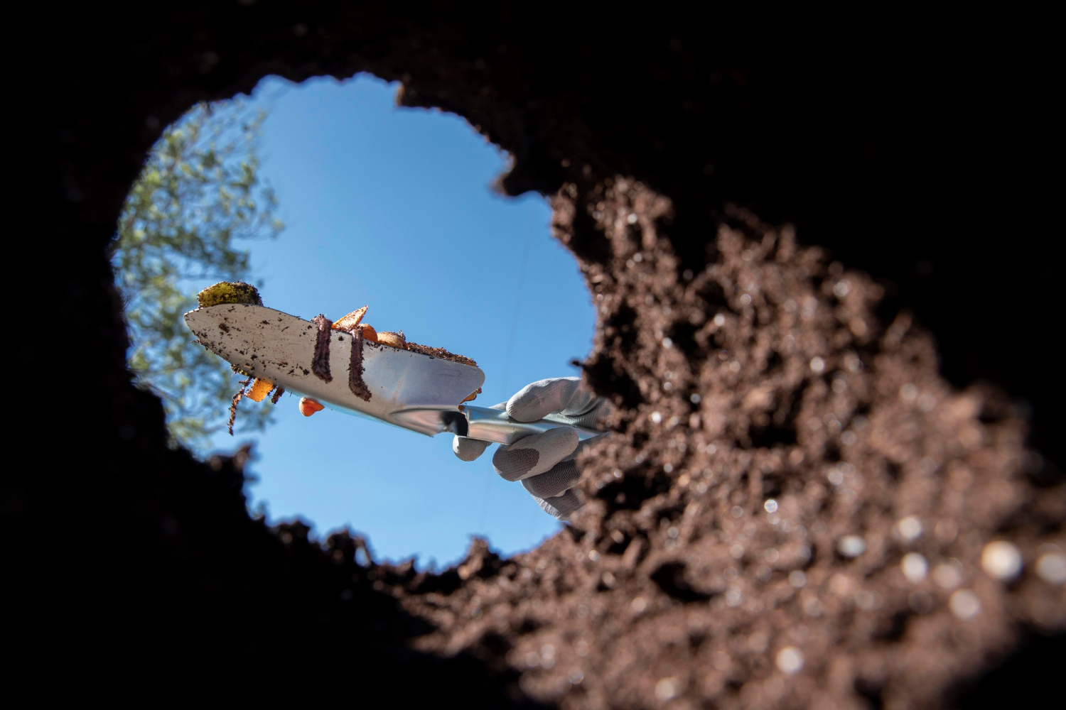 soil
