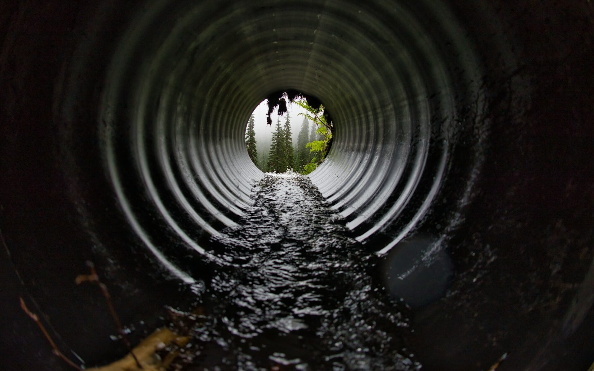 liquid waste