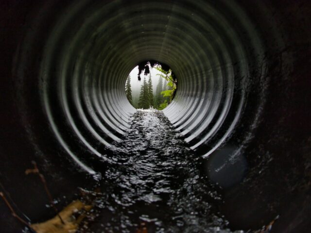 Emergency Liquid Waste Services: When You Need Help Quickly